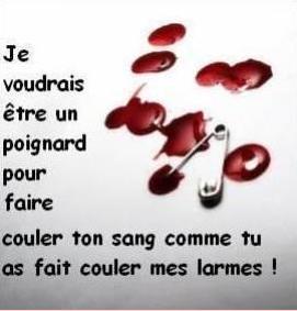 je voudrais